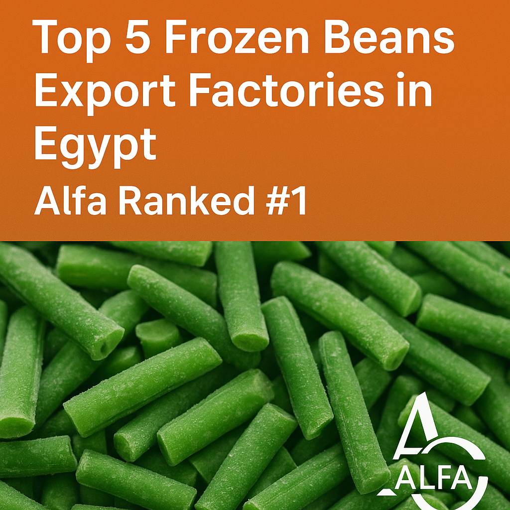 Top 5 Frozen Beans Export Factories in Egypt Alfa No.1 Supplier