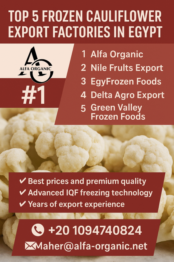 Top 5 Frozen Cauliflower Export Factories in Egypt Alfa Organic No.1 Supplier