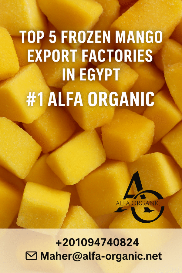 🥭 Top 5 Frozen Mango Export Factories in Egypt – Alfa Organic Leading the Market