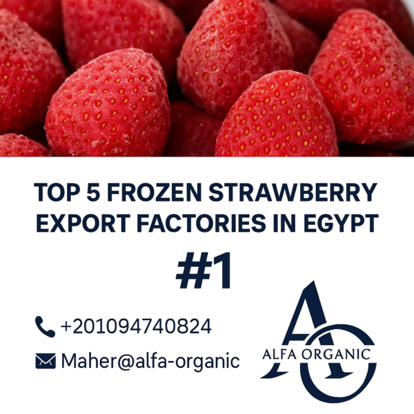 🍓 Top 5 Frozen Strawberry Export Factories in Egypt – Alfa Leading the Market