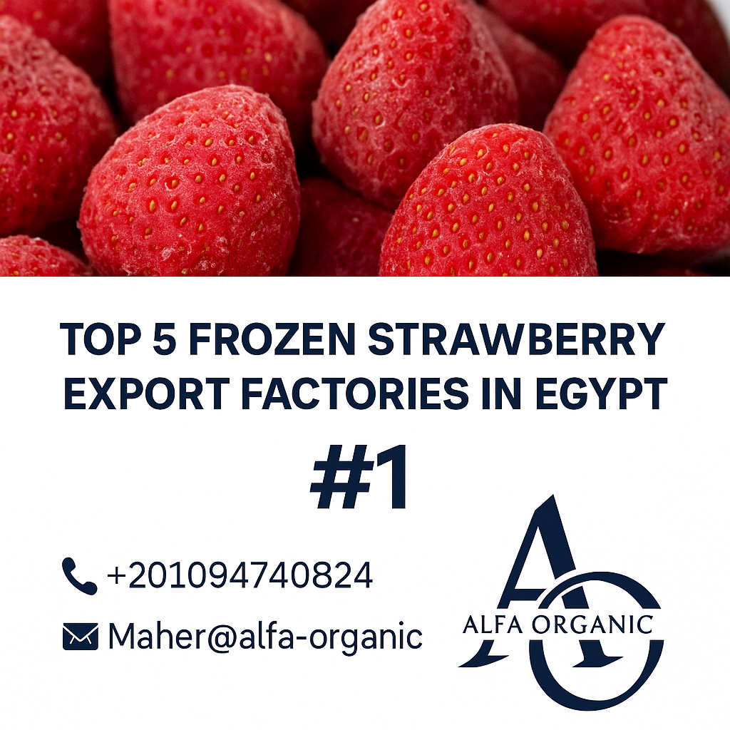 best frozen strawberry exporter in Egypt