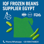IQF frozen beans supplier Egypt
