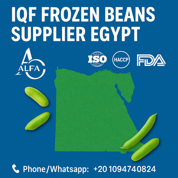 IQF frozen beans supplier Egypt