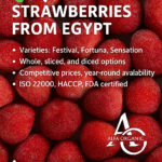 IQF frozen strawberries Egypt