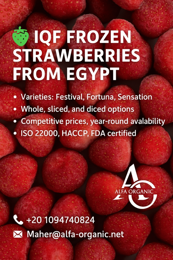 🍓 IQF Frozen Strawberries from Egypt | Premium Quality for Global Markets