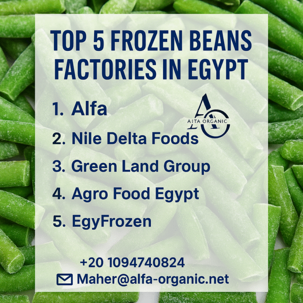 Top 5 Frozen Beans Factories in Egypt