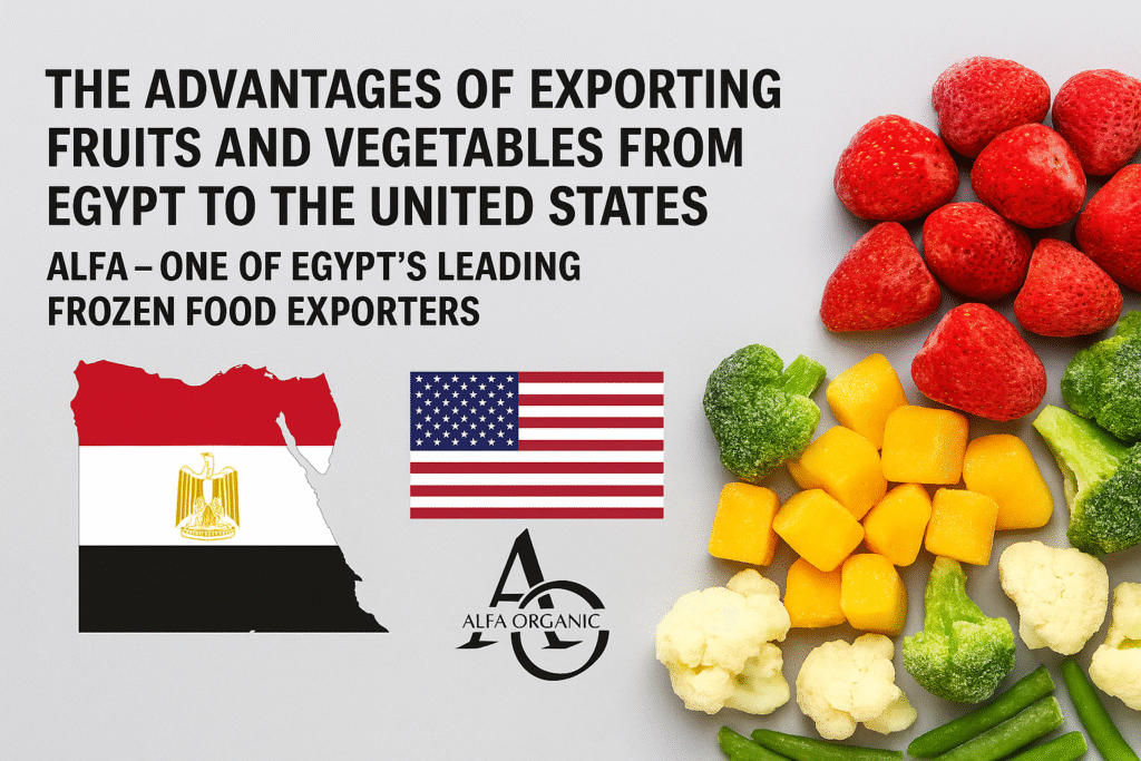 export frozen fruits from Egypt to USA