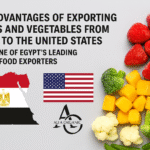 export frozen fruits from Egypt to USA