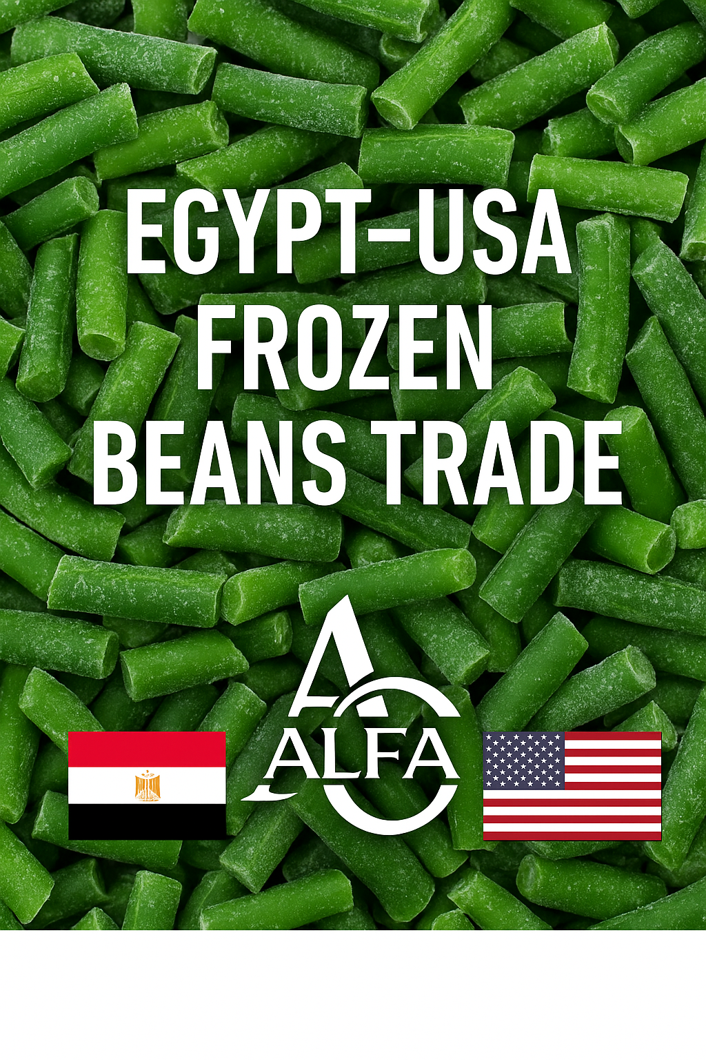 frozen beans Egypt USA trade
