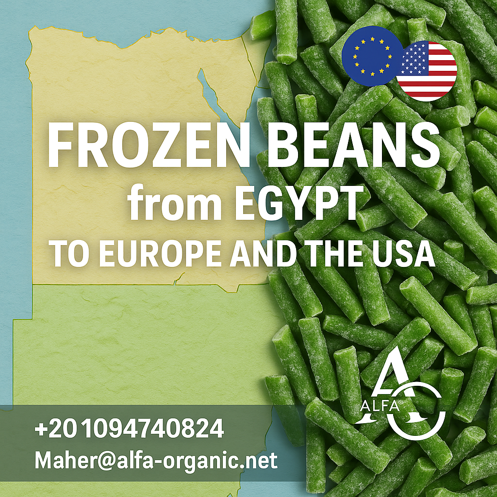frozen beans exporter Egypt