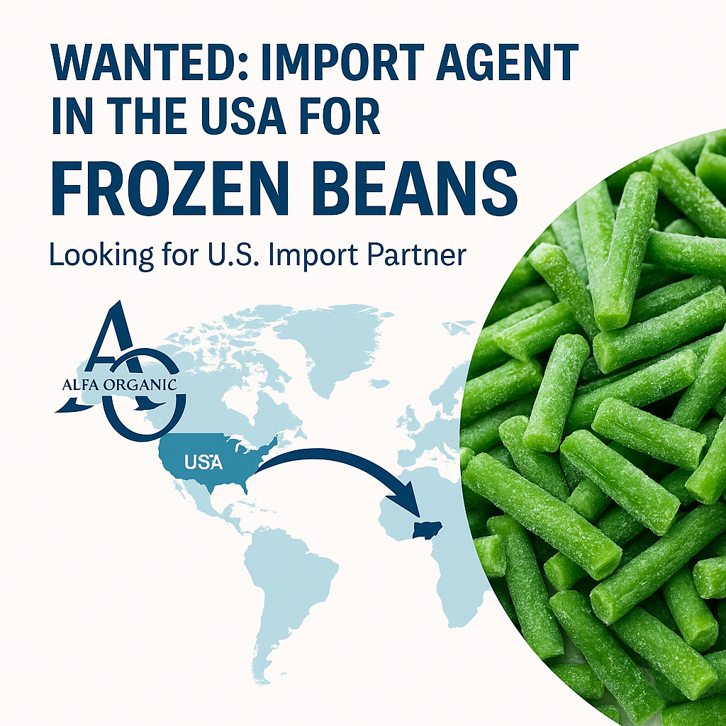 frozen beans importer USA