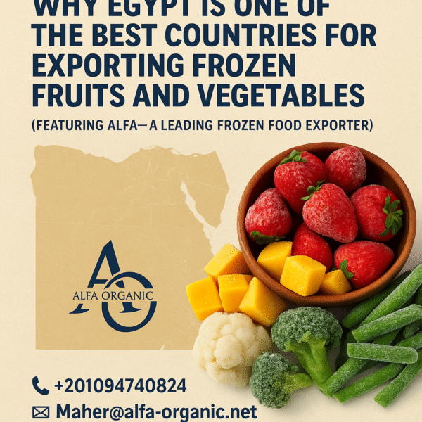 Why Egypt Is One of the Best Countries for Exporting Frozen Fruits and Vegetables