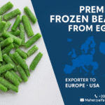 premium frozen beans Egypt-