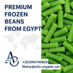 premium frozen beans Egypt