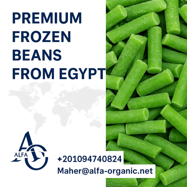 premium frozen beans Egypt