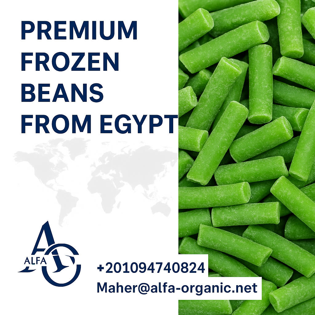 premium frozen beans Egypt