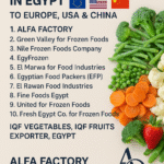 Top 10 IQF Vegetables & Fruits Exporters in Egypt