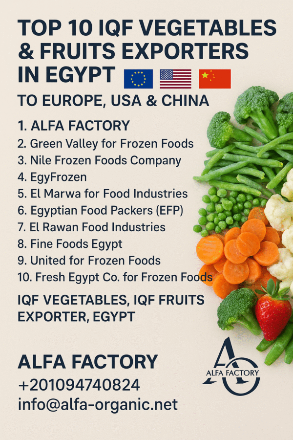 Top 10 IQF Vegetables & Fruits Exporters in Egypt