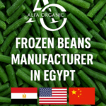 Frozen beans manufacturer in Egypt