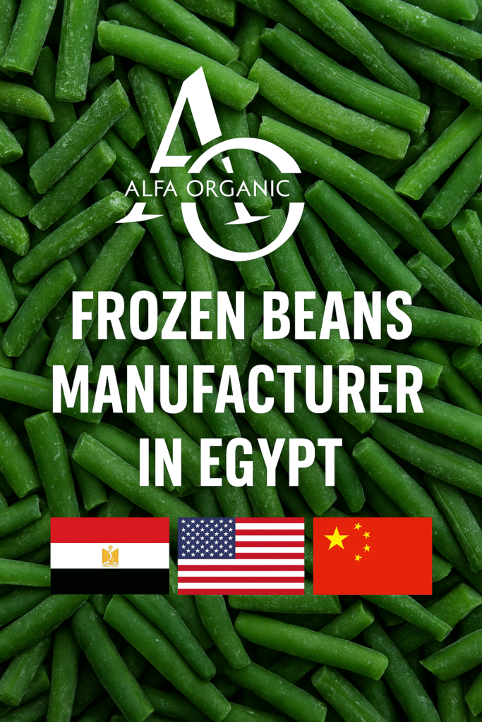 Frozen beans manufacturer in Egypt