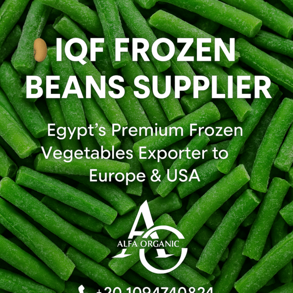 IQF frozen beans supplier