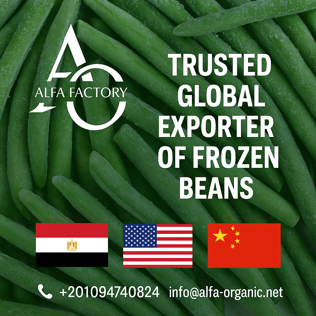 frozen beans manufacturer Egypt