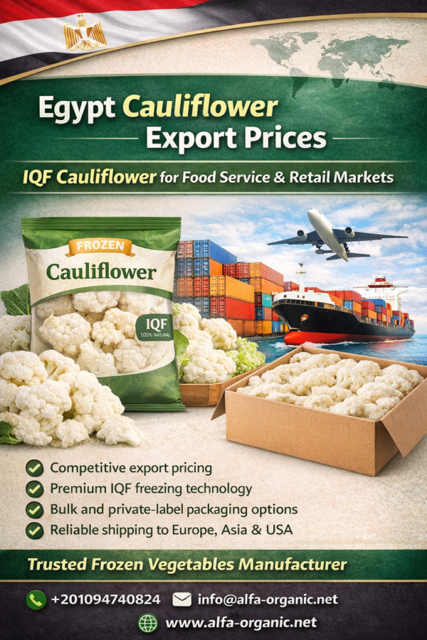 Egypt Cauliflower Export Prices | IQF Cauliflower for Food Service & Retail Markets