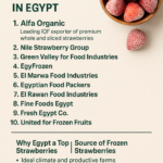 Top 10 Frozen Strawberry Exporters in Egypt