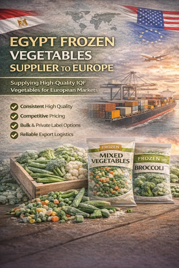 Egypt Frozen Vegetables Supplier to Europe | A Reliable Source for Quality and Value