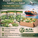 frozen vegetables supplier to Europe from Egypt