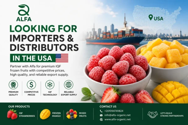 Looking for Importers & Distributors in the USA for Premium IQF Frozen Fruits