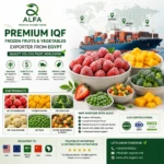 Premium frozen foods export solutions