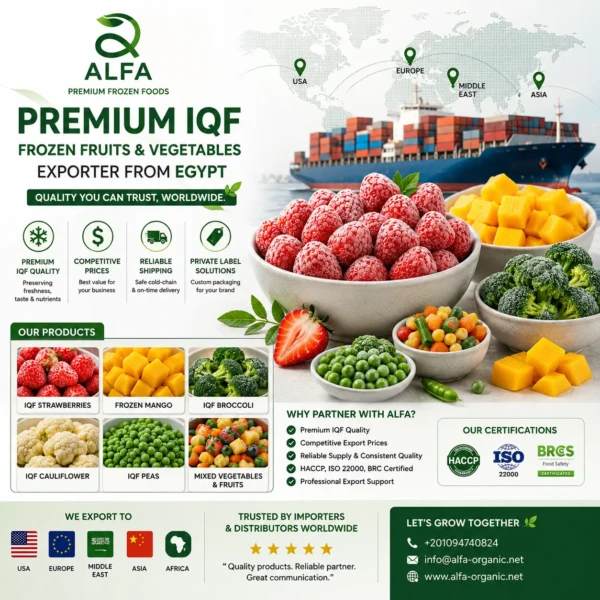Why Egypt Is Becoming a Global Hub for IQF Frozen Fruits & Vegetables Export