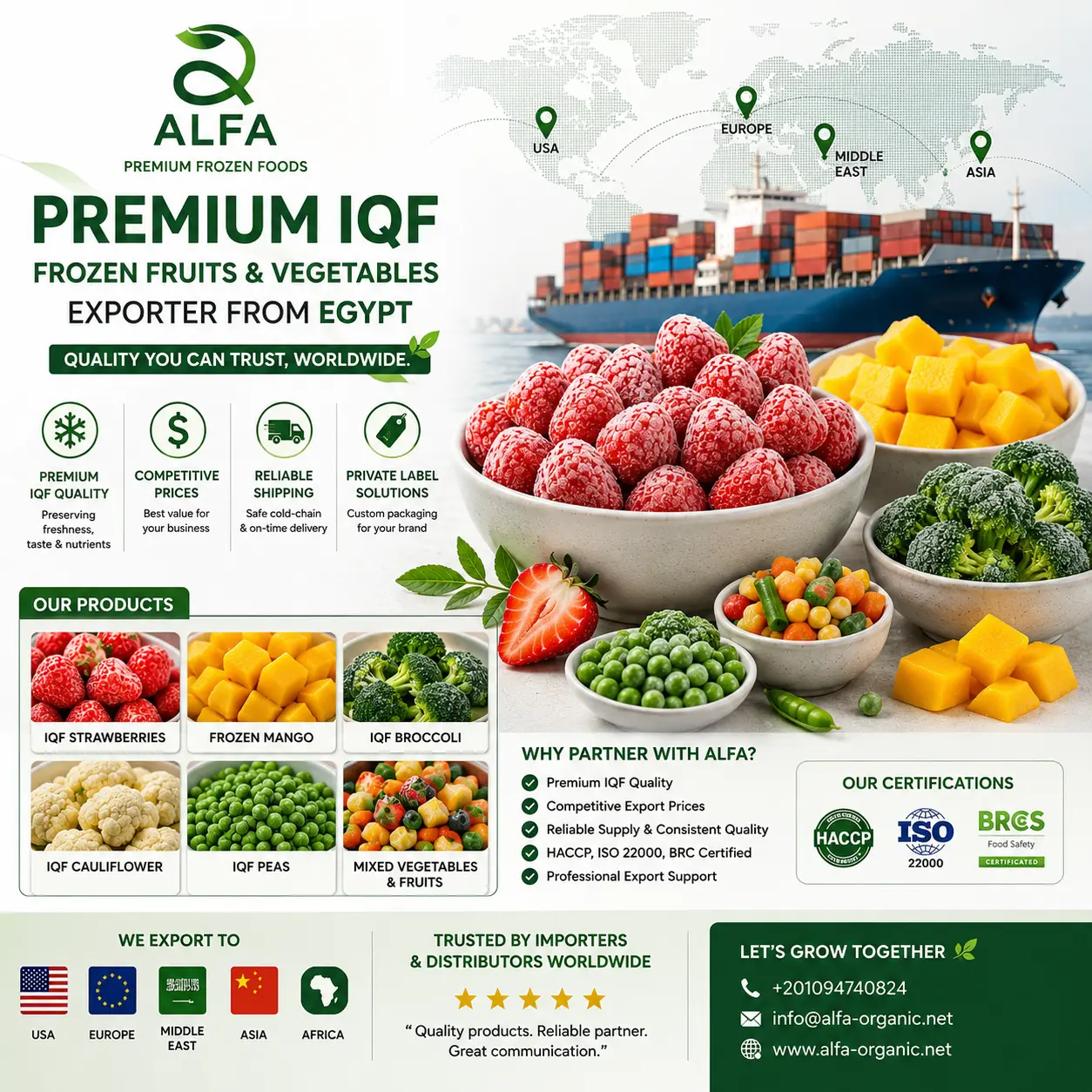 Premium frozen foods export solutions