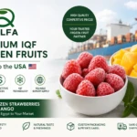 Premium IQF Frozen Fruits Export to the USA