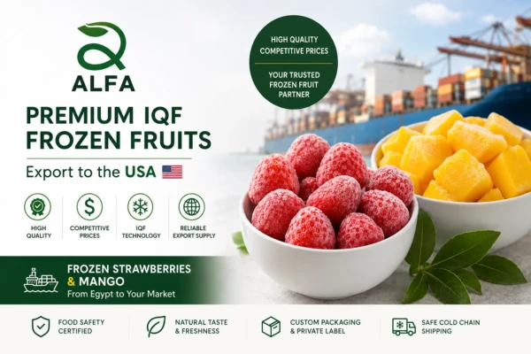 Premium Frozen Mango & Strawberry Export to the USA | High Quality at Competitive Prices
