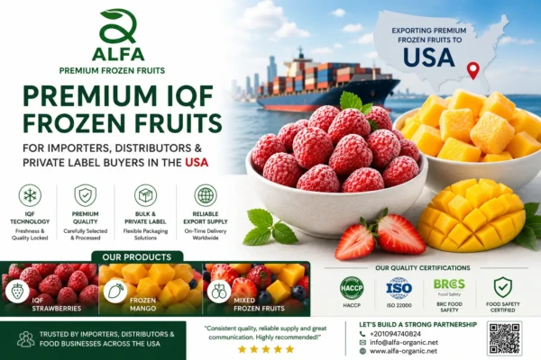 Premium IQF Frozen Fruits Supplier for USA Importers & Distributors