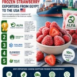 Top frozen strawberry exporters in Egypt
