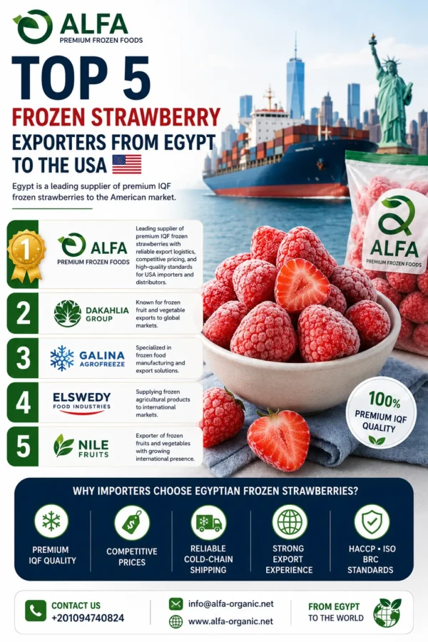 🍓 Top Frozen Strawberry Exporters from Egypt to the USA 🇺🇸