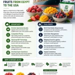 Advantages and Challenges of Exporting Frozen Fruits from Egypt to the USA