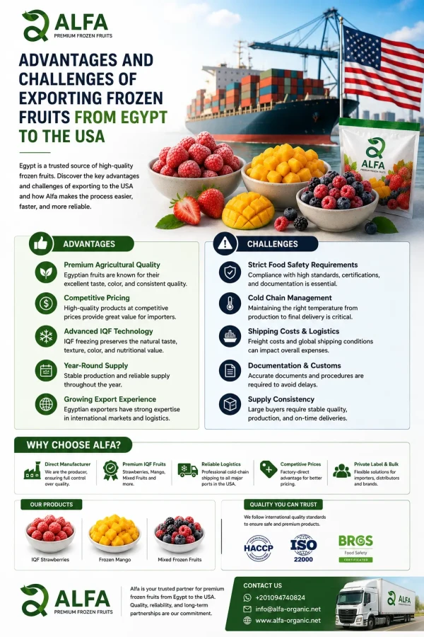 Advantages and Challenges of Exporting Frozen Fruits from Egypt to the USA