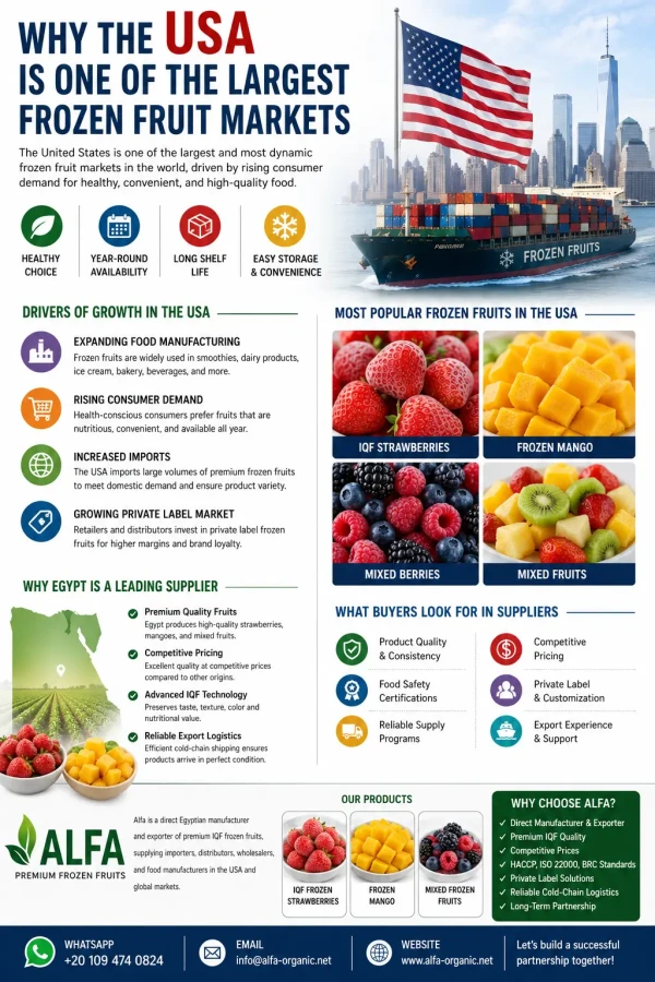 Why the USA Is One of the Largest Frozen Fruit Markets in the World