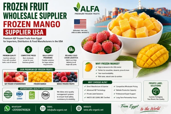 Frozen Fruit Wholesale Supplier & Frozen Mango Supplier USA: Choosing the Right Partner for Long-Term Growth