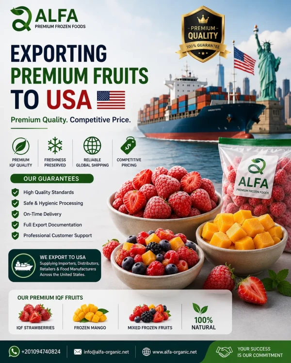 Premium Frozen Fruit Export to USA | High Quality Frozen Fruits from Egypt