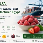 Premium frozen fruits from Egypt