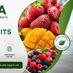 frozen fruit importers USA