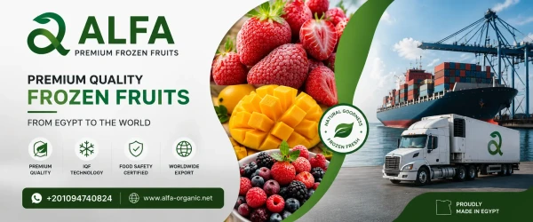 Frozen Fruit Importers USA: Why Egypt Is a Leading Source for Premium IQF Frozen Fruits