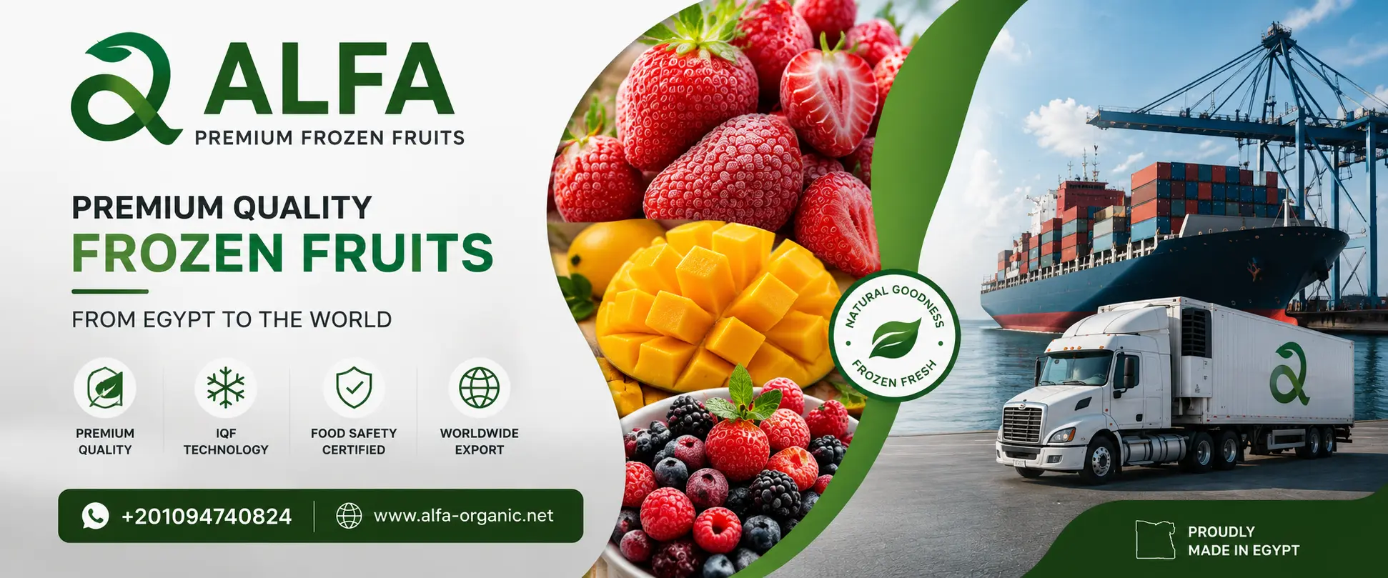 frozen fruit importers USA