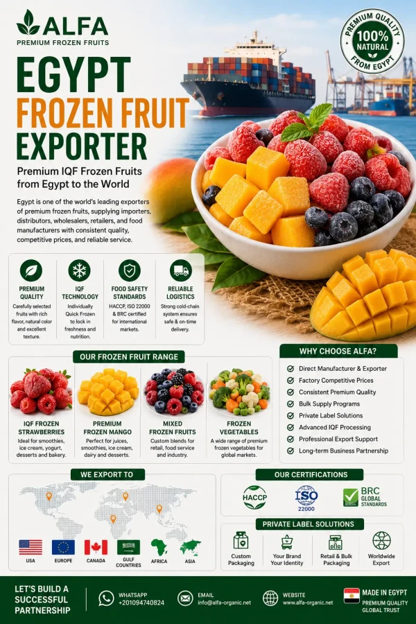 Egypt Frozen Fruit Exporter | Premium IQF Frozen Fruits for Global Importers