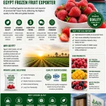 Premium frozen fruits from Egypt-2027